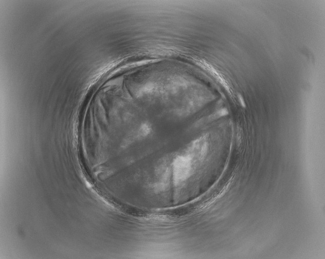 X0000115840581200912041710