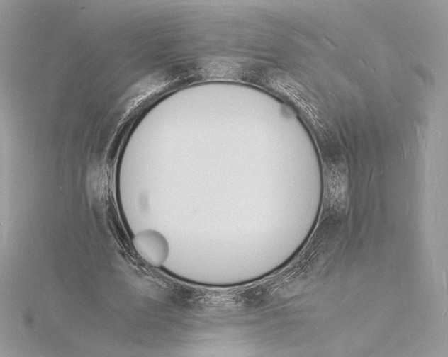 X0000115840583200912041710