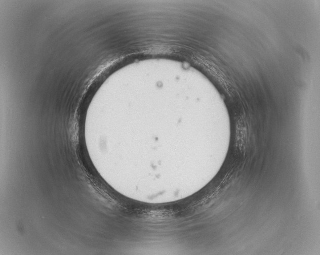 X0000115840584200912041710