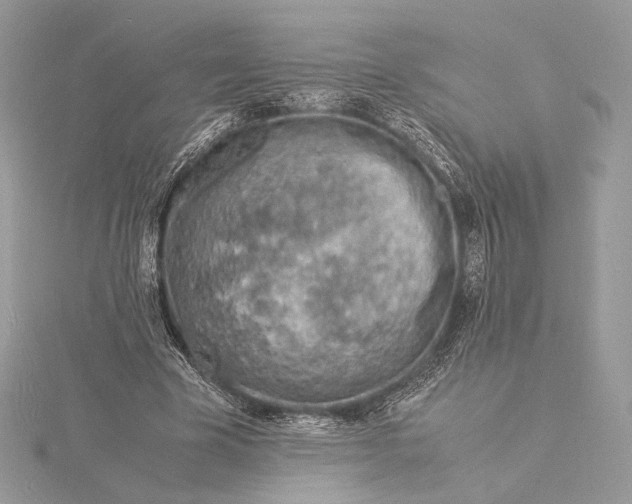 X0000115840585200912041710