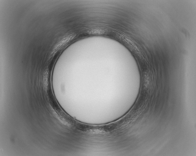 X0000115840586200912041710