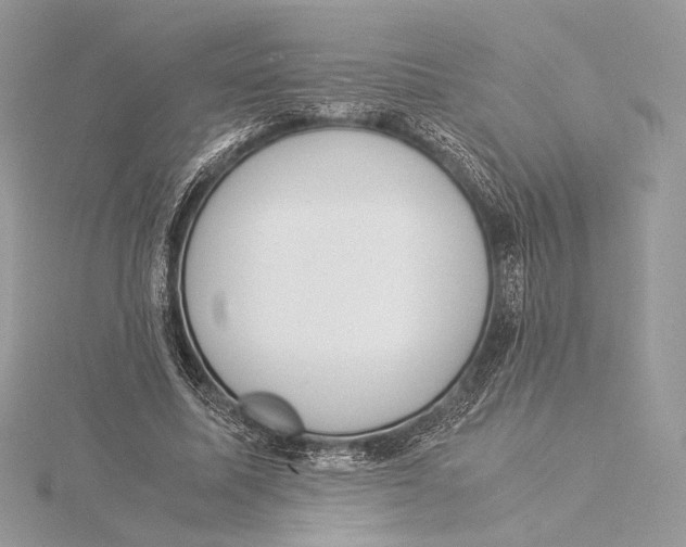 X0000115840587200912041710