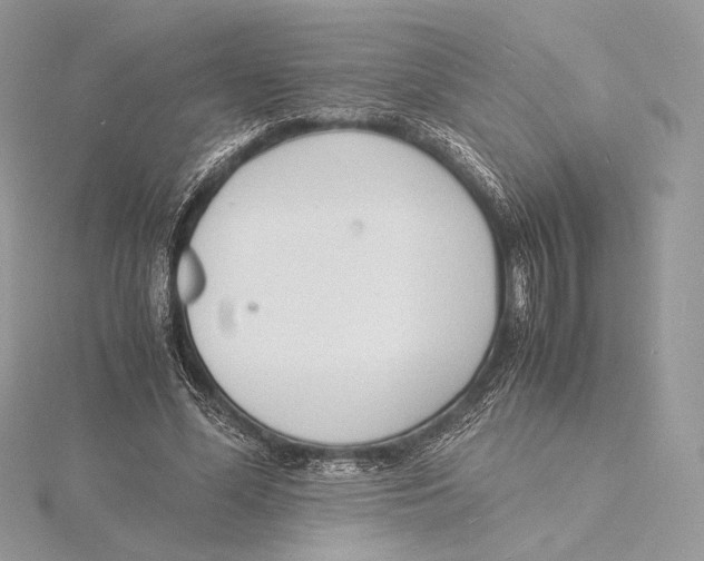 X0000115840588200912041710