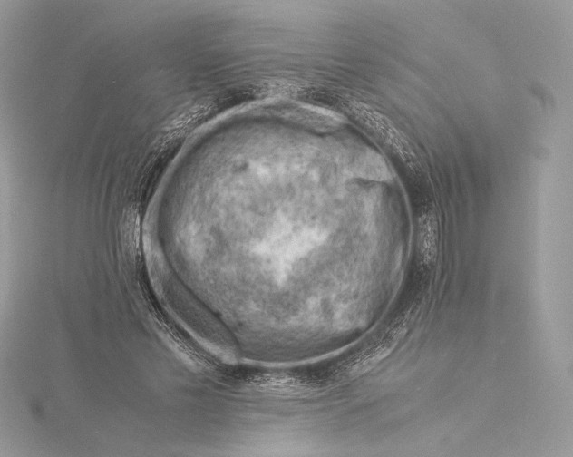 X0000115840589200912041710