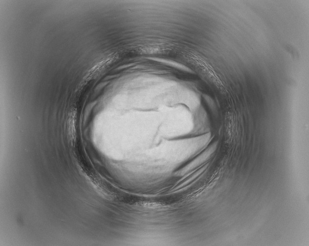 X0000115840590200912041710