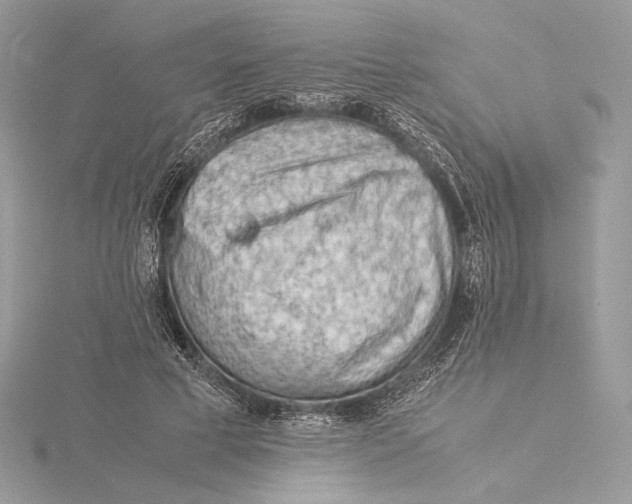 X0000115840593200912041710