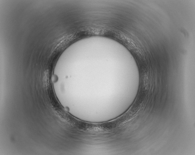 X0000115840594200912041710