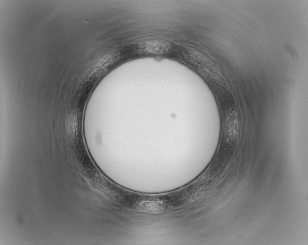 X0000115840595200912041710