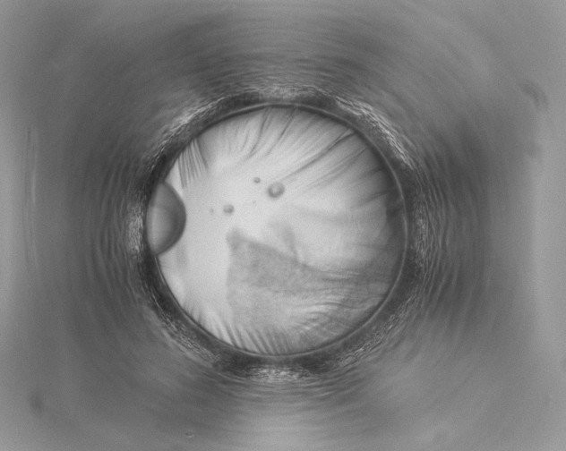 X0000115840596200912041710