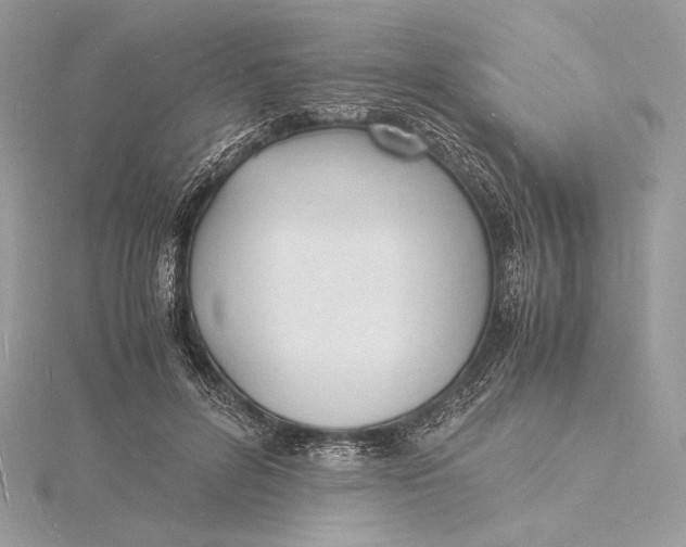 X0000115840600200912041710