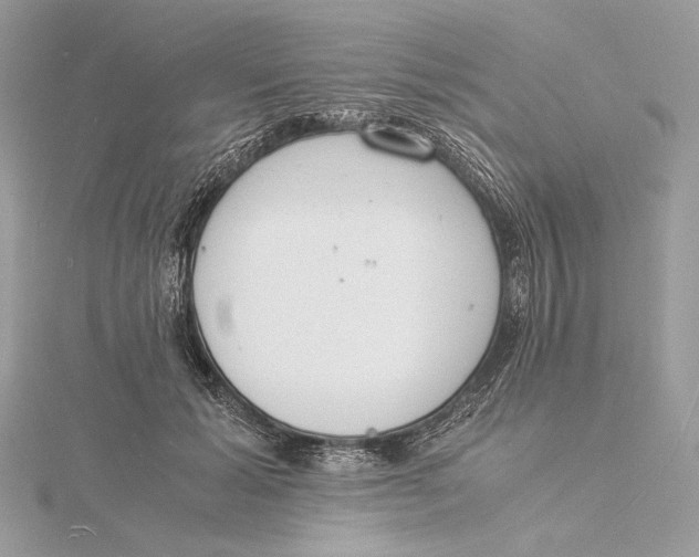 X0000115840605200912041710