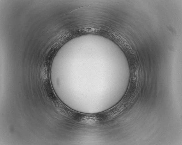 X0000115840606200912041710