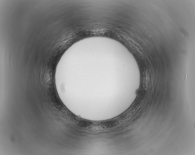 X0000115840608200912041710