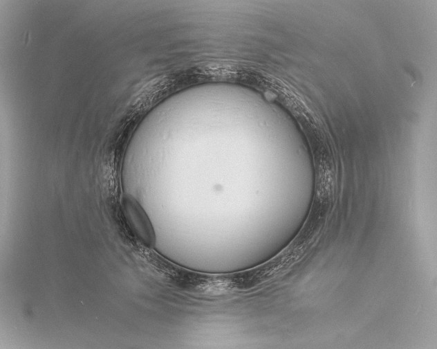 X0000115840609200912041710