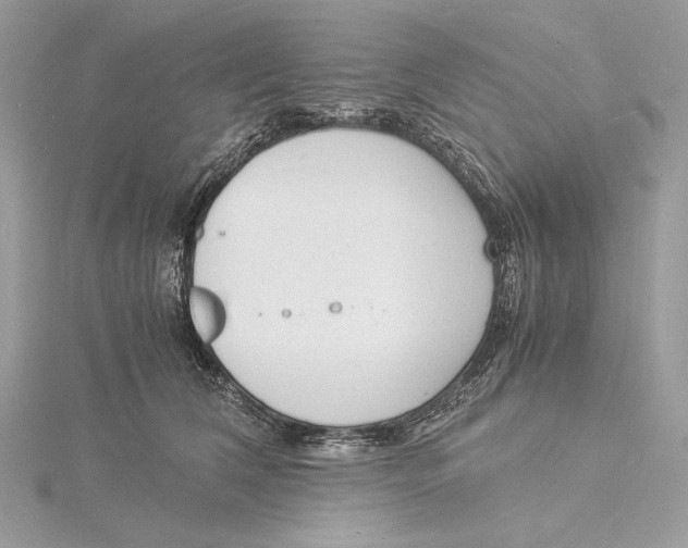 X0000115840612200912041710