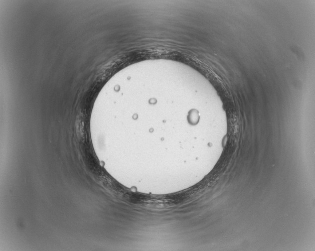 X0000115840615200912041710