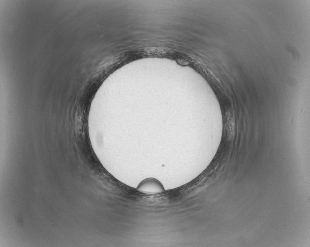 X0000115840619200912041709