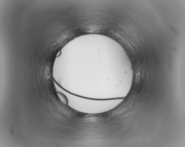 X0000115840620200912041709