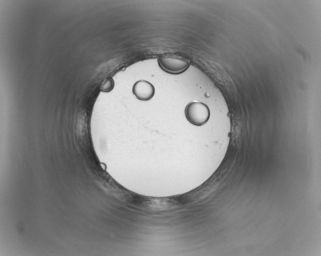 X0000115840623200912041709