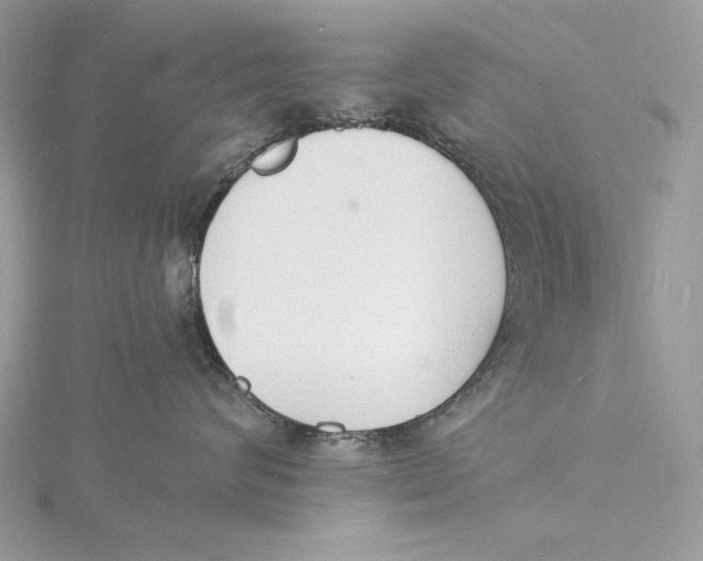 X0000115840624200912041709