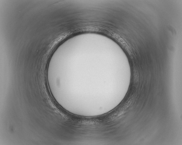 X0000115840625200912041709