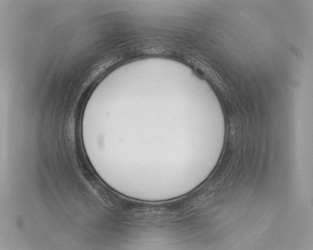 X0000115840626200912041709