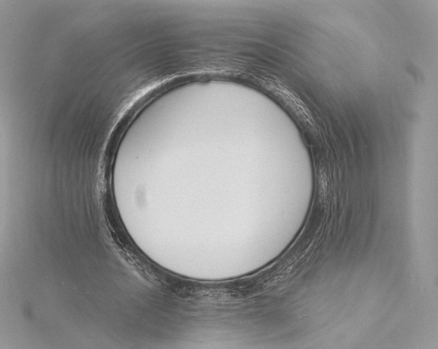 X0000115840628200912041709