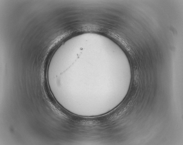 X0000115840629200912041709