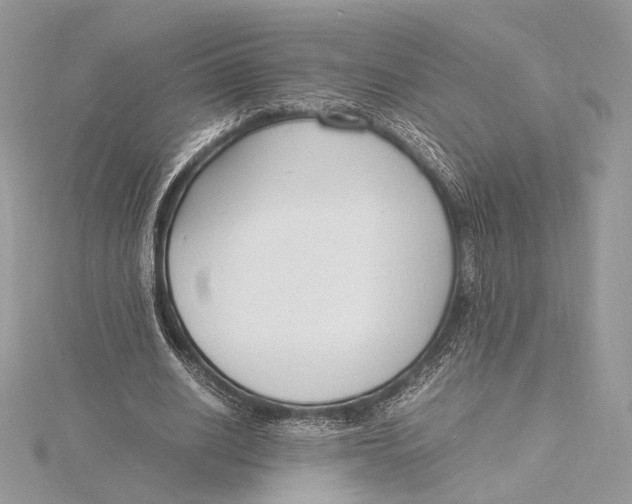 X0000115840630200912041709