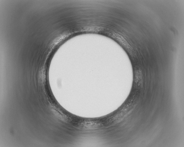 X0000115840632200912041709