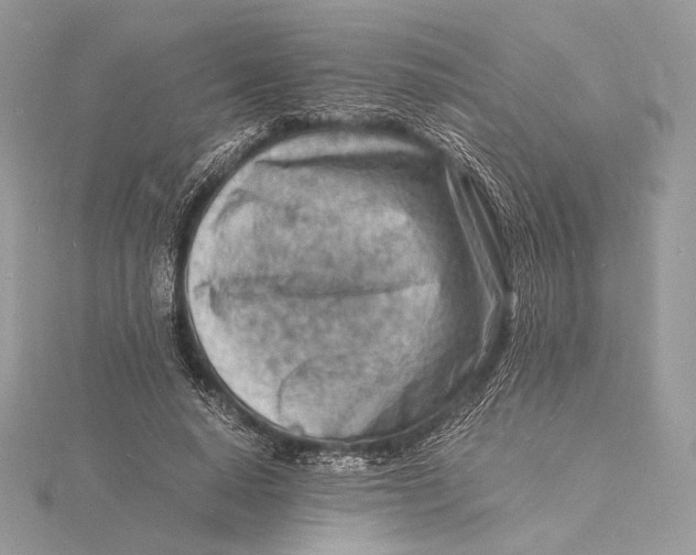 X0000115840640200912041709