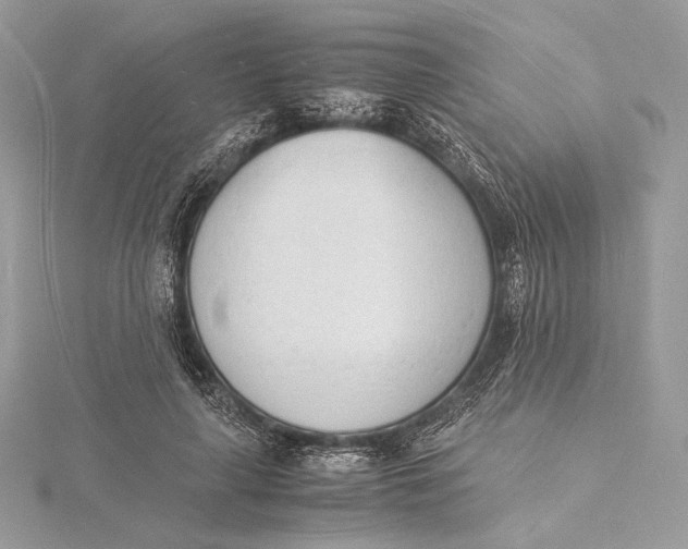 X0000115840643200912041709