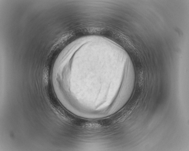 X0000115840644200912041709