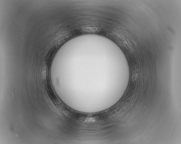 X0000115840647200912041709