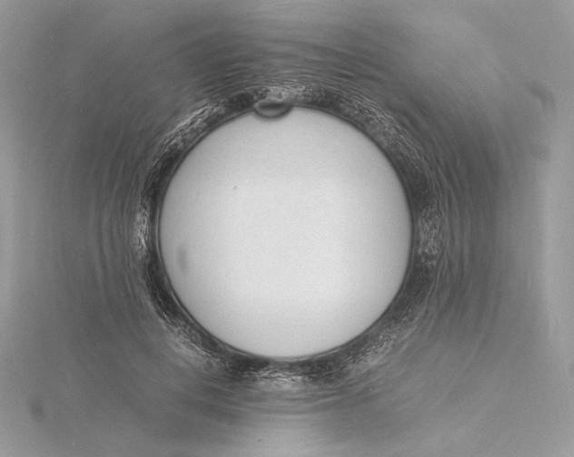 X0000115840648200912041709