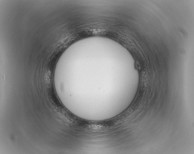 X0000115840650200912041709