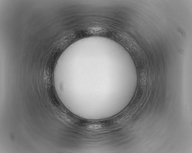 X0000115840653200912041709