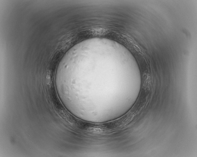 X0000115840655200912041709