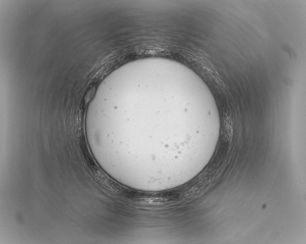 X0000115840657200912041709