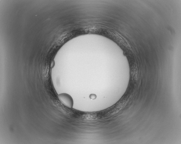 X0000115840660200912041709