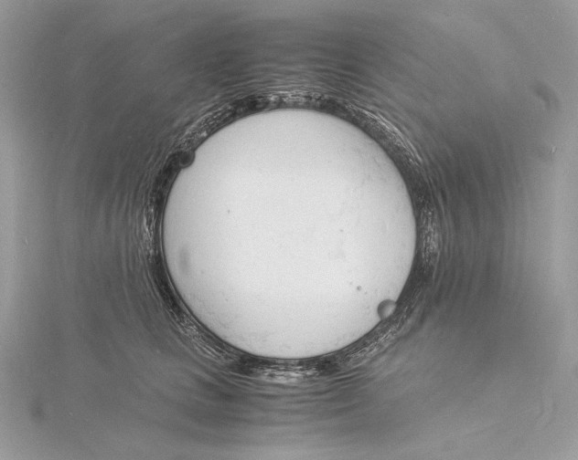 X0000115840661200912041709