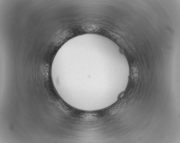 X0000115840664200912041709