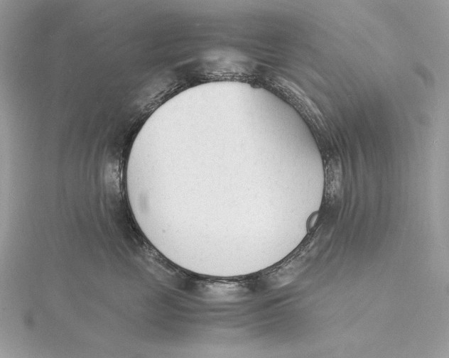 X0000115840669200912041709