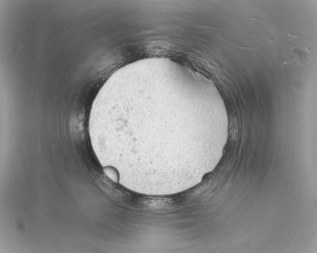 X0000115840670200912041709