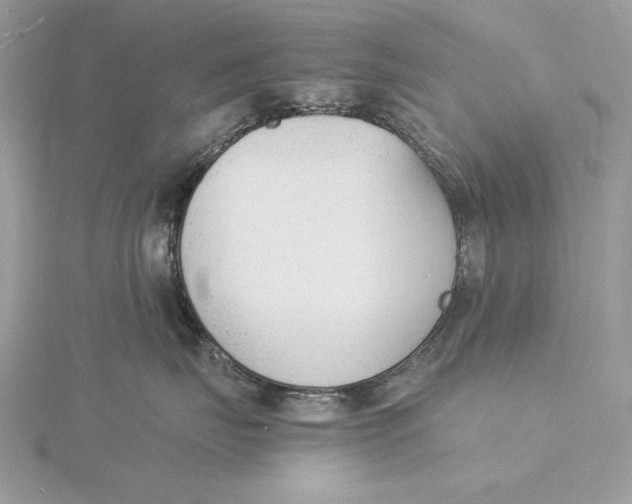 X0000115840671200912041709