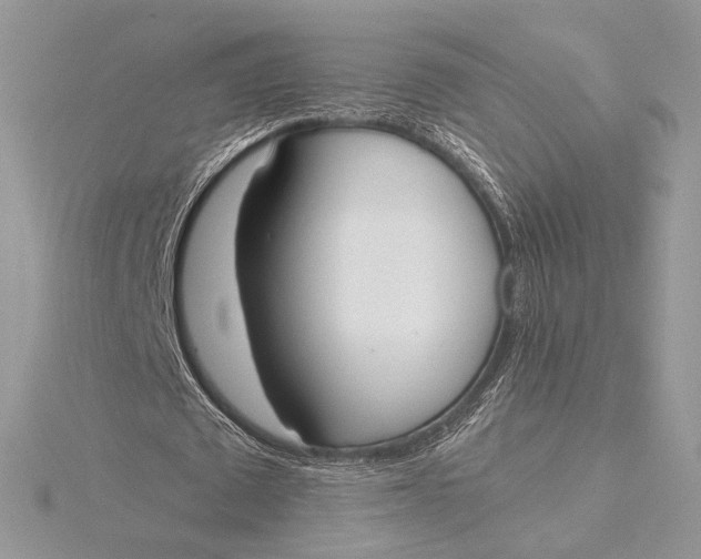 X0000115840673200912041709