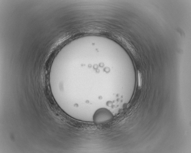 X0000115840675200912041709