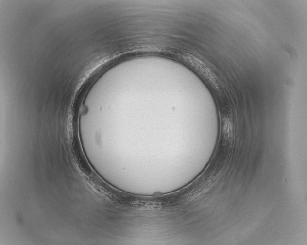 X0000115840676200912041709