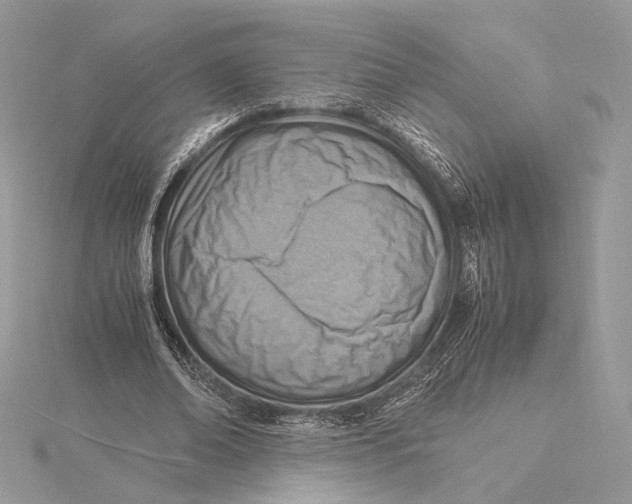 X0000115840678200912041709