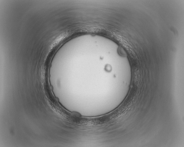 X0000115840679200912041709